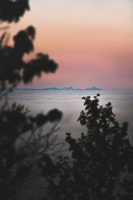 Ирина и Владимир