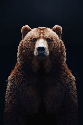 Как вести себя с медведем: советы от главного гида Ивана