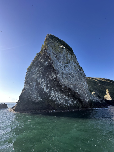 Остров Старичков