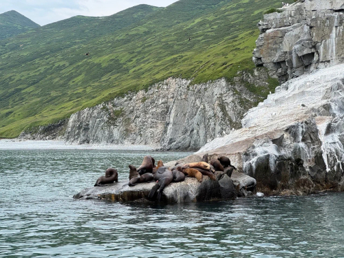 Остров Старичков