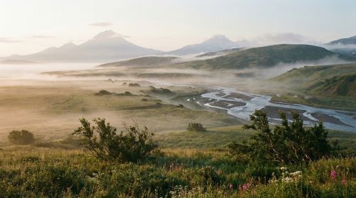 Свидание с Камчаткой