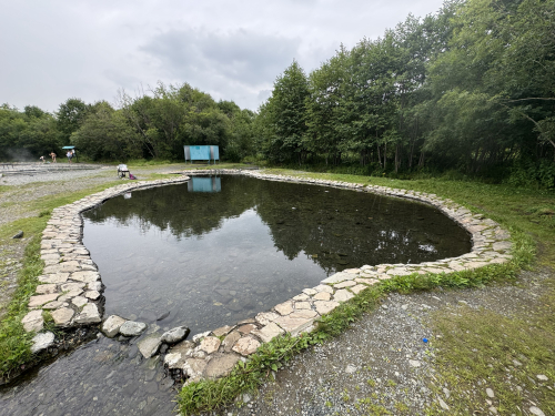 Купание в Малкинских горячих источниках