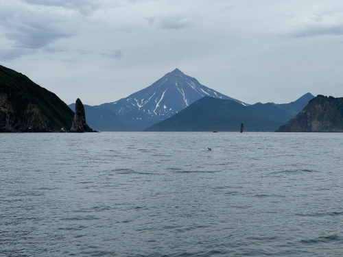 Вилючинская бухта. Рыбалка и уха из свежего улова