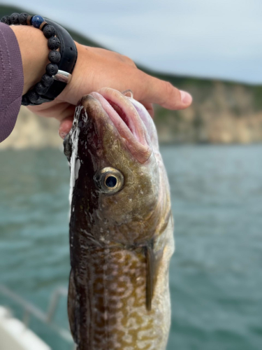 Рыбалка и обед в бухте Вилючинской